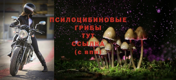 бутират Кукмор
