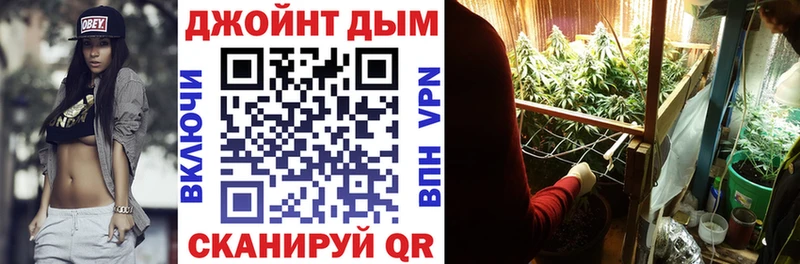 Бошки Шишки индика Алзамай